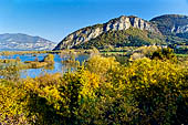 Lame del Sebino - Torbiere d'Iseo.